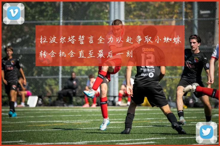 拉波尔塔誓言全力以赴争取小蜘蛛转会机会直至最后一刻